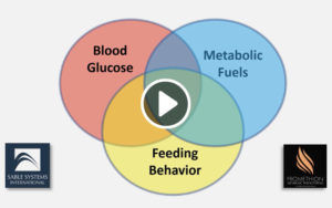 血糖、摄食行为和代谢底物