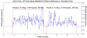 RFID-uptake2