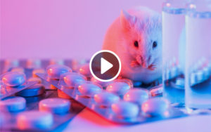 Inside Scientific Webinar – Rodent Models of Pharmacotherapy and Chronotherapy for Obesity and Cardiometabolic Disease