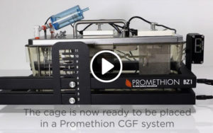 Promethion 小鼠笼组件