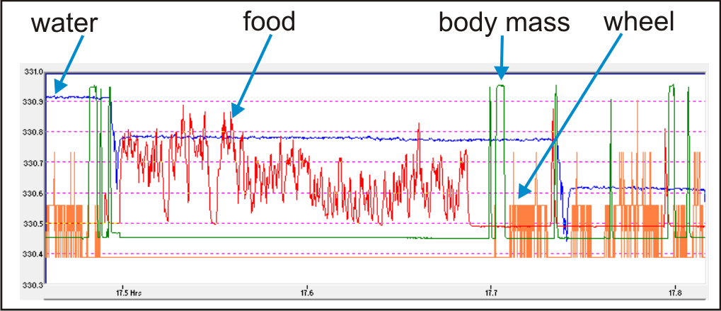 ethoscan example 1